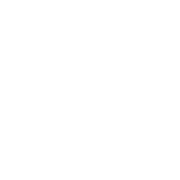 consultant