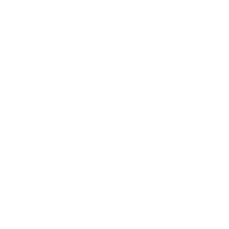 development